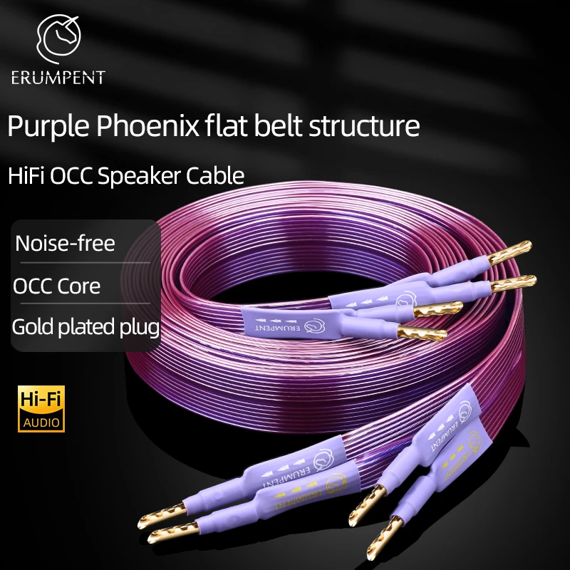 Kabel głośnikowy HiFi OCC Hi-end płaski pasek z czystej miedzi z ząbkowanymi, pozłacanymi wtyczkami bananowymi… Kabel głośnikowy HiFi OCC Hi-end płaski pasek z czystej miedzi z ząbkowanymi, pozłacanymi wtyczkami bananowymi…