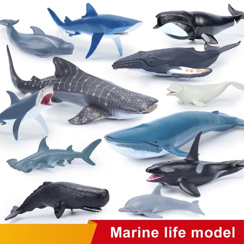 Symulacja morskiego życia morskiego Figurki wielorybów Rekin Cachalot Figurki akcji Ocean Model zwierzęcia… Symulacja morskiego życia morskiego Figurki wielorybów Rekin Cachalot Figurki akcji Ocean Model zwierzęcia…